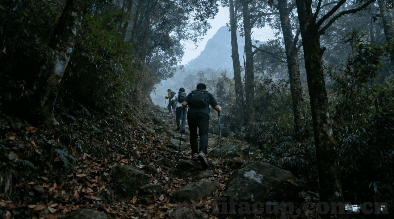 世界杯小组赛竞猜6.23-世界杯小组赛竞猜，6月23日赛事前瞻与精彩看点
